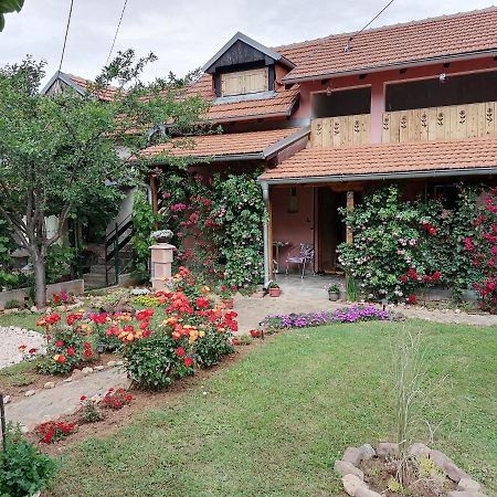 Apartman Mika Sokobanja Kültér fotó